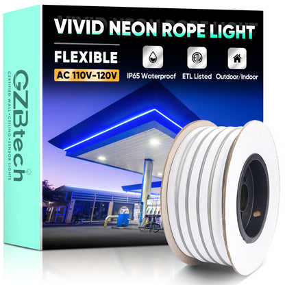 GZBtech 120V Flexible Blue LED Neon Rope Light