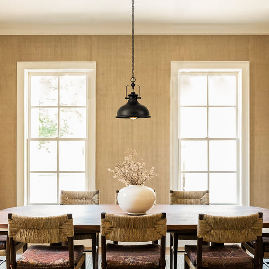 GZBtech  black-dome-pendant-light-2