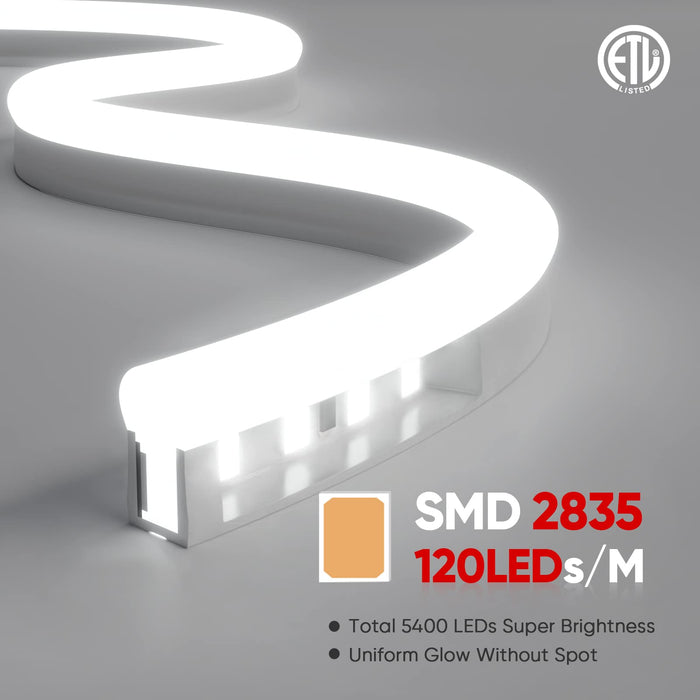 LED Neon Rope Lights 150FT 6500K Cool White 120LEDs/M, ETL-Listed 110V-120V AC
