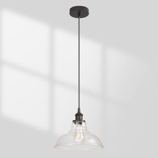 Single Clear Glass Dome Pendant Light