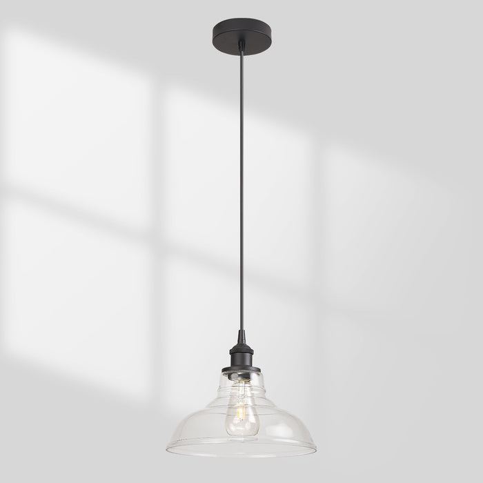 Single Clear Glass Dome Pendant Light