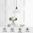 Single Clear Glass Dome Pendant Light