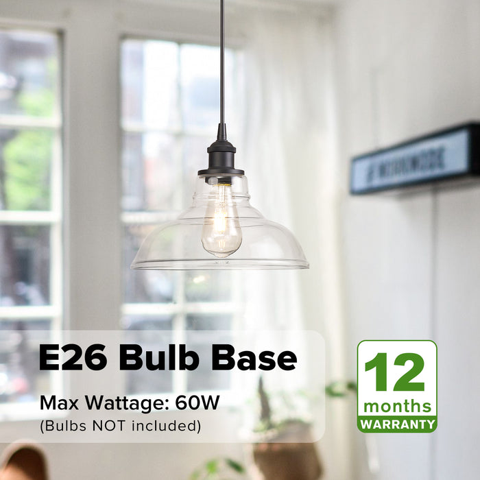 Single Clear Glass Dome Pendant Light